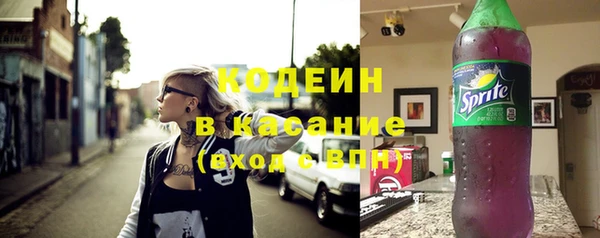 твердый Богданович