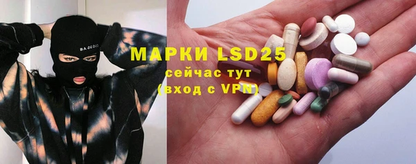 твердый Богданович