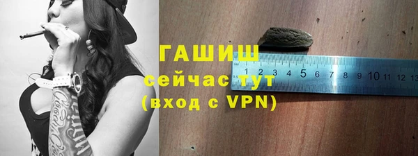 твердый Богданович
