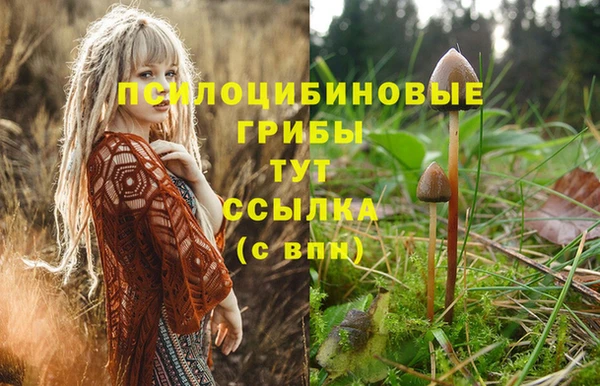 дмт Беломорск