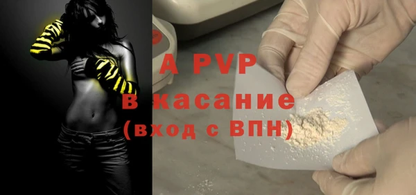 стаф Богородск