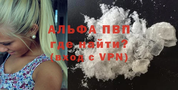 твердый Богданович