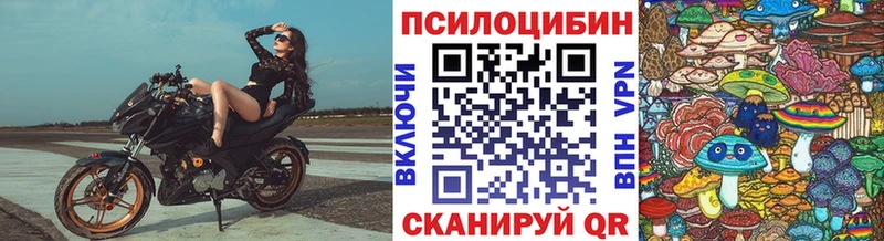 Псилоцибиновые грибы Psilocybe где найти наркотики Белебей